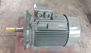 節(jié)能泵電機 節(jié)能泵電機